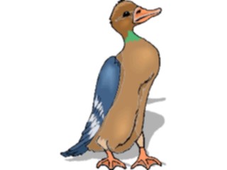 Sticker Custom Preview Image #016629 Animals Birds Duck72