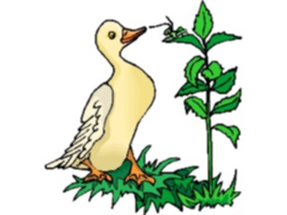 Sticker Custom Preview Image #016631 Animals Birds Duck Bug