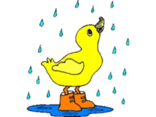 Sticker Custom Preview Image #016640 Animals Birds Duckin Rain