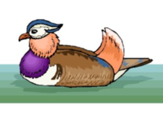 Sticker Custom Preview Image #016645 Animals Birds Duck Mandarin1