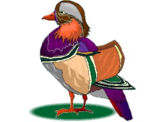 Sticker Custom Preview Image #016646 Animals Birds Duck Mandarin2