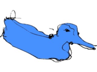Sticker Custom Preview Image #016648 Animals Birds Duck Sketch2