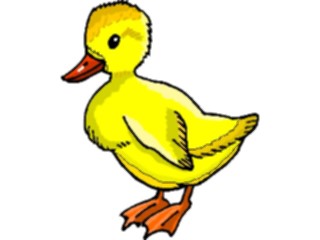 Sticker Custom Preview Image #016651 Animals Birds Duckling1