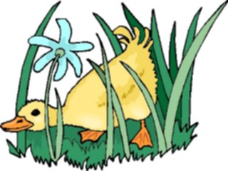 Sticker Custom Preview Image #016653 Animals Birds Duckling3