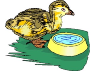 Sticker Custom Preview Image #016654 Animals Birds Duckling4