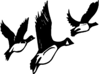 Sticker Custom Preview Image #016655 Animals Birds Ducks1