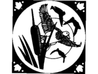 Sticker Custom Preview Image #016656 Animals Birds Ducks2