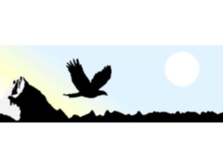 Sticker Custom Preview Image #016668 Animals Birds Eagle08