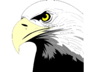Sticker Custom Preview Image #016670 Animals Birds Eagle10