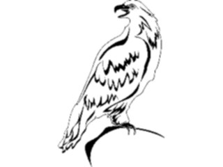 Sticker Custom Preview Image #016671 Animals Birds Eagle11