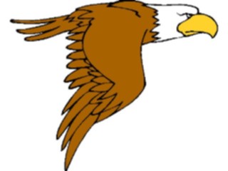 Sticker Custom Preview Image #016678 Animals Birds Eagle18