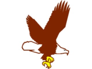 Sticker Custom Preview Image #016681 Animals Birds Eagle21