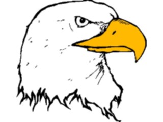 Sticker Custom Preview Image #016686 Animals Birds Eagle26