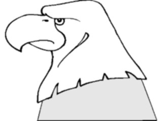 Sticker Custom Preview Image #016688 Animals Birds Eagle28