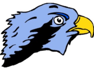 Sticker Custom Preview Image #016689 Animals Birds Eagle29