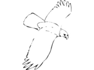 Sticker Custom Preview Image #016695 Animals Birds Eagle35