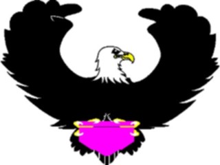 Sticker Custom Preview Image #016696 Animals Birds Eagle36
