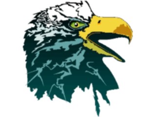 Sticker Custom Preview Image #016701 Animals Birds Eagle41