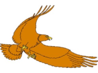 Sticker Custom Preview Image #016707 Animals Birds Eagle47