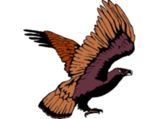 Sticker Custom Preview Image #016709 Animals Birds Eagle49
