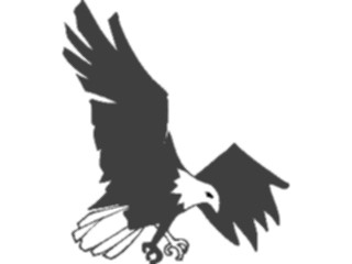 Sticker Custom Preview Image #016710 Animals Birds Eagle50