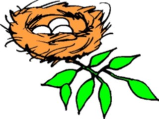 Sticker Custom Preview Image #016747 Animals Birds Eggsin Nest