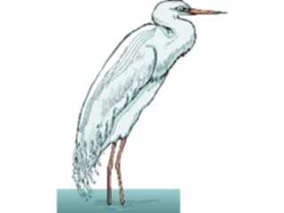 Sticker Custom Preview Image #016751 Animals Birds Egret4