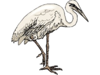 Sticker Custom Preview Image #016752 Animals Birds Egret5