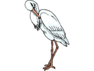 Sticker Custom Preview Image #016753 Animals Birds Egret6
