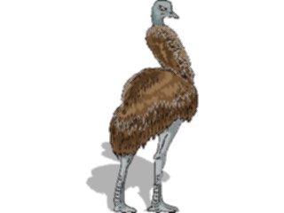 Sticker Custom Preview Image #016755 Animals Birds Emu