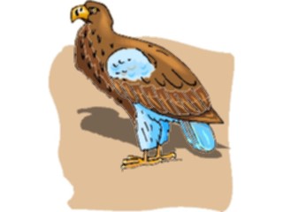 Sticker Custom Preview Image #016760 Animals Birds Falcon05