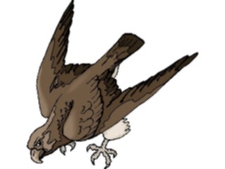 Sticker Custom Preview Image #016763 Animals Birds Falcon08
