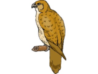 Sticker Custom Preview Image #016766 Animals Birds Falcon11