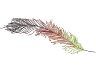 Sticker Custom Preview Image #016774 Animals Birds Feather6