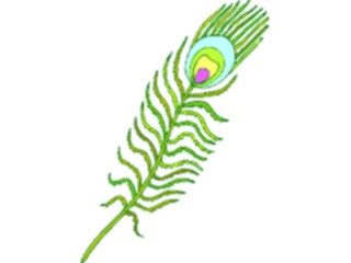 Sticker Custom Preview Image #016775 Animals Birds Feather7