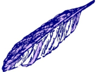 Sticker Custom Preview Image #016776 Animals Birds Feather8