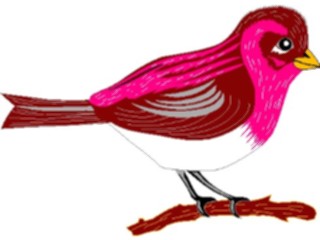 Sticker Custom Preview Image #016777 Animals Birds Finch01