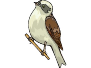 Sticker Custom Preview Image #016779 Animals Birds Finch03