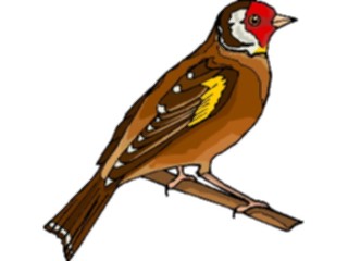 Sticker Custom Preview Image #016780 Animals Birds Finch04