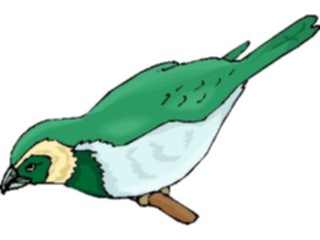 Sticker Custom Preview Image #016782 Animals Birds Finch06