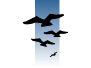 Sticker Custom Preview Image #016819 Animals Birds Flying05