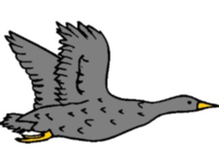 Sticker Custom Preview Image #016830 Animals Birds Flying16