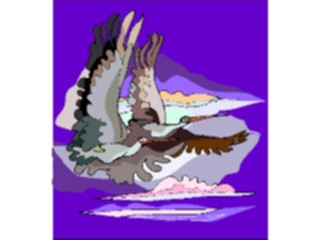 Sticker Custom Preview Image #016834 Animals Birds Flying20