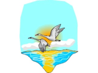 Sticker Custom Preview Image #016842 Animals Birds Geese3