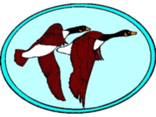 Sticker Custom Preview Image #016843 Animals Birds Geese4