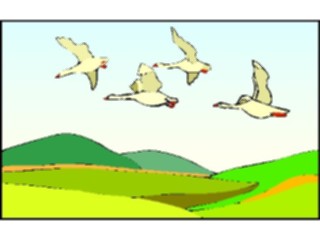 Sticker Custom Preview Image #016845 Animals Birds Geese Flying1