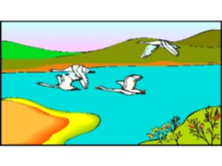 Sticker Custom Preview Image #016848 Animals Birds Geese Flying4
