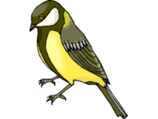 Sticker Custom Preview Image #016853 Animals Birds Goldfinch4