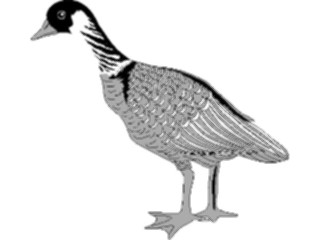 Sticker Custom Preview Image #016856 Animals Birds Goose03