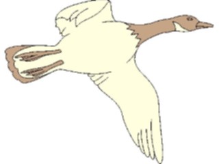 Sticker Custom Preview Image #016859 Animals Birds Goose06